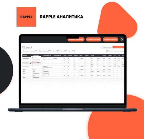 Кабинет для анализа Яндекс Директ рекламы - Rapple Аналитика